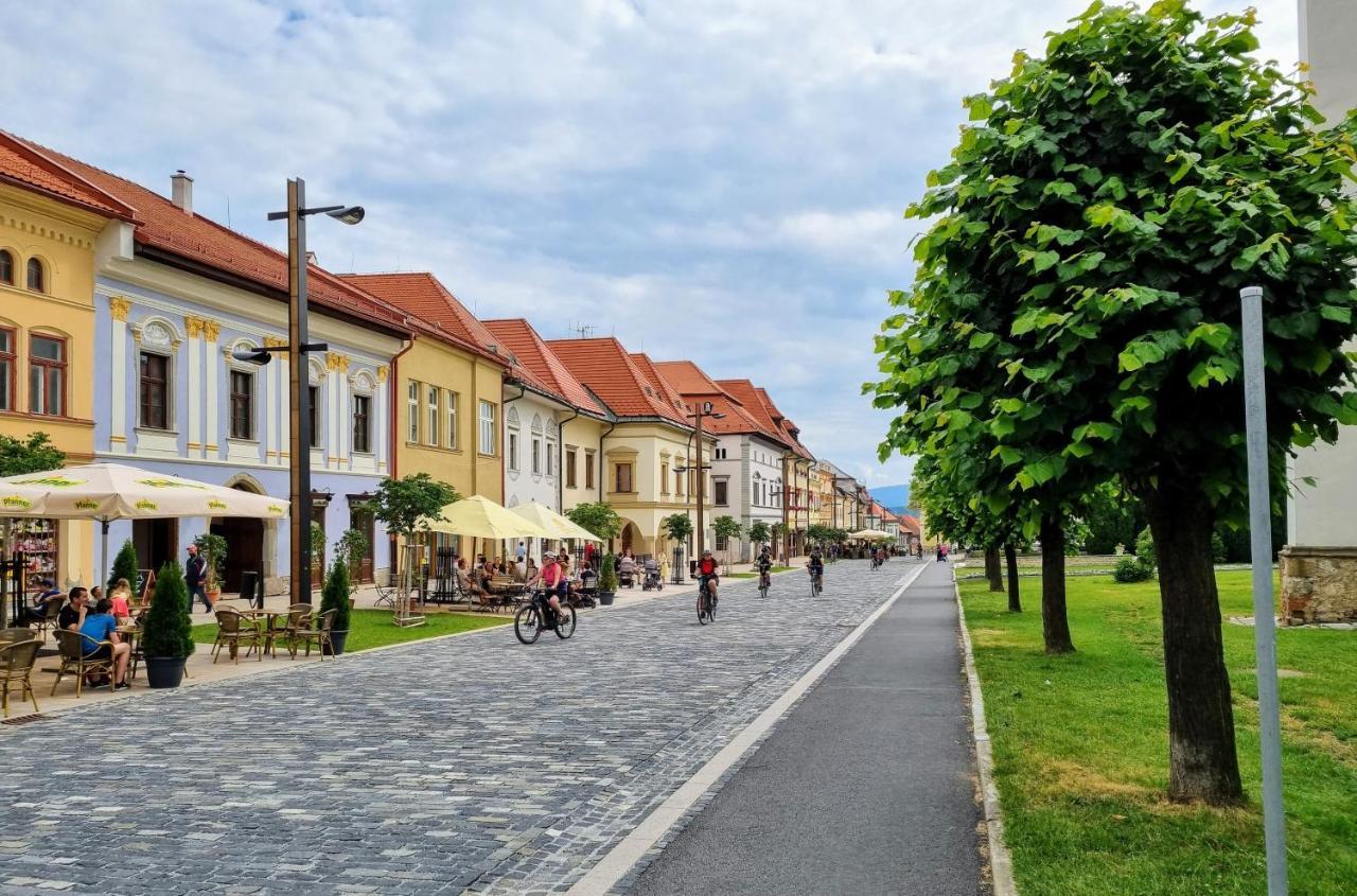 Historical House In The Center Levoca With Parking Apartman Kültér fotó