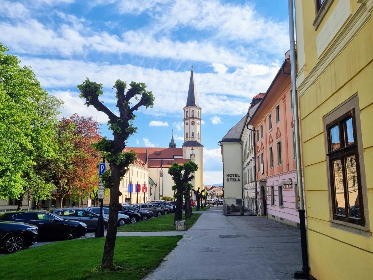 Historical House In The Center Levoca With Parking Apartman Kültér fotó