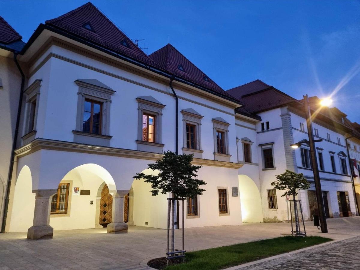 Historical House In The Center Levoca With Parking Apartman Kültér fotó